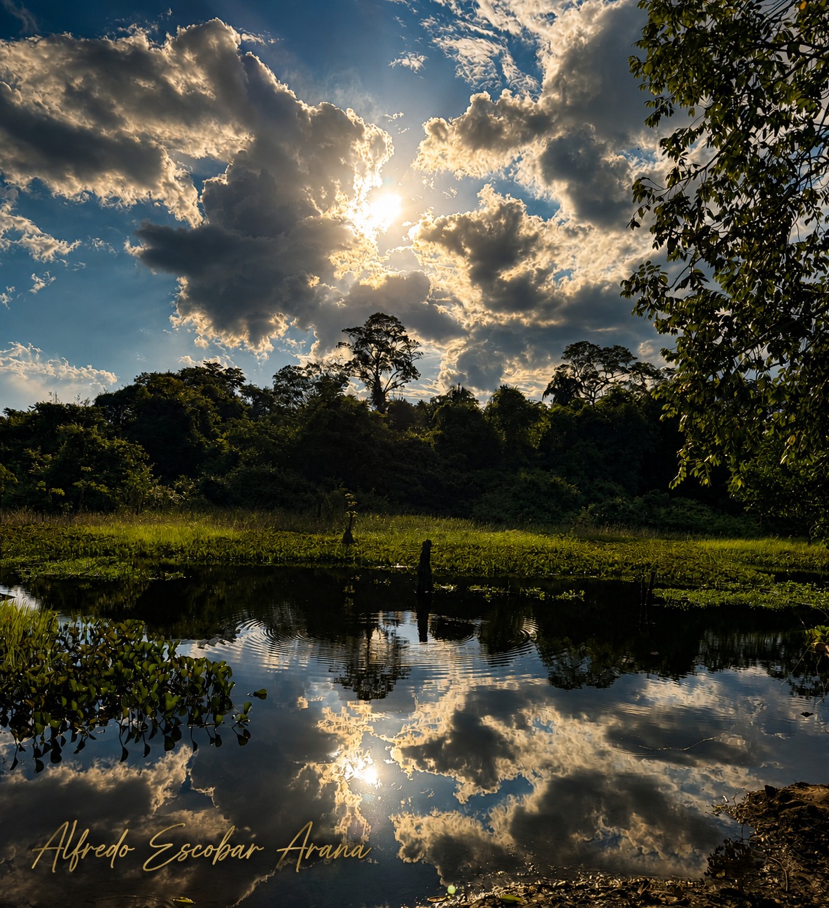 Imagen de Pando: donde el cielo abraza el corazón de la Amazonía
